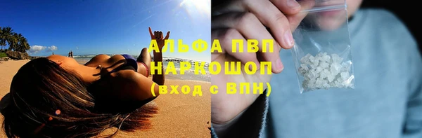 ГАЛЛЮЦИНОГЕННЫЕ ГРИБЫ Балабаново