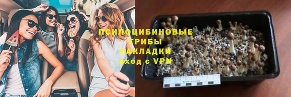 ГАЛЛЮЦИНОГЕННЫЕ ГРИБЫ Балабаново
