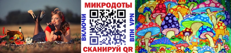 Псилоцибиновые грибы мицелий цены Кубинка