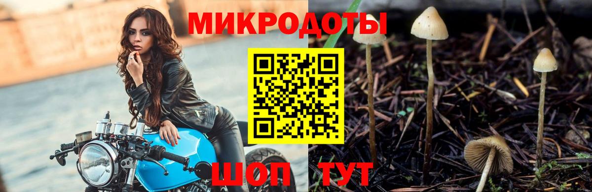 Галлюциногенные грибы Кубинка