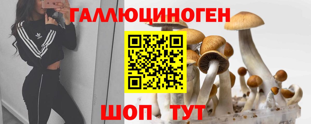 Кубинка  Галлюциногенные грибы ЛСД  Вход с VPN 